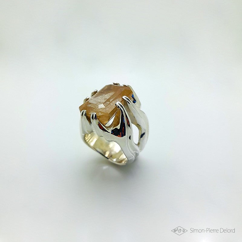 “Muon” ring