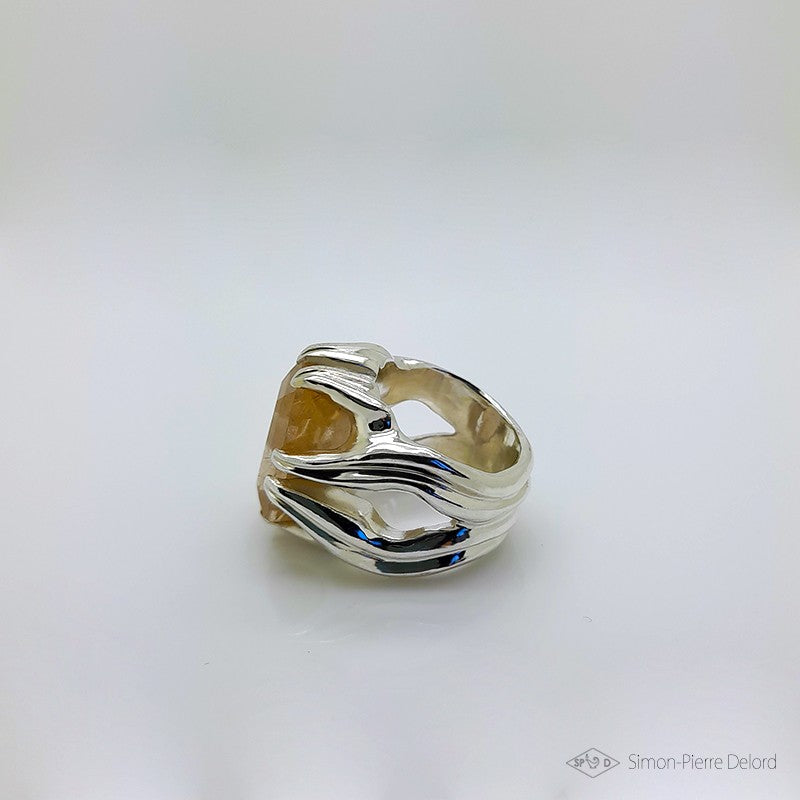 “Muon” ring