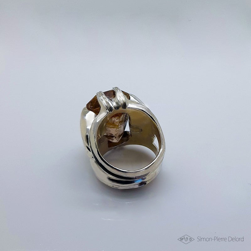 Bague "Chemins de Vie"