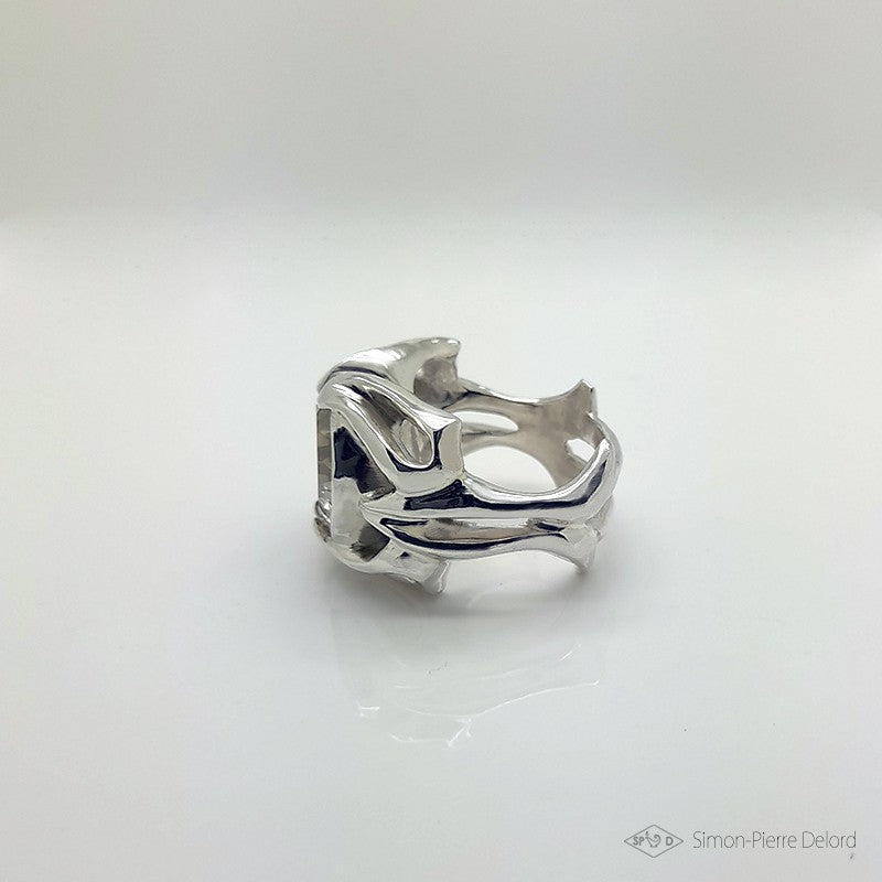 “Aegis” ring